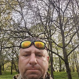 ����, 46 ���, �����-���������