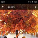 ���� ������, ������, 46 ��� - ��������� 15 ���� 2025 � ������ ���� ����������