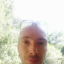 , 41, 