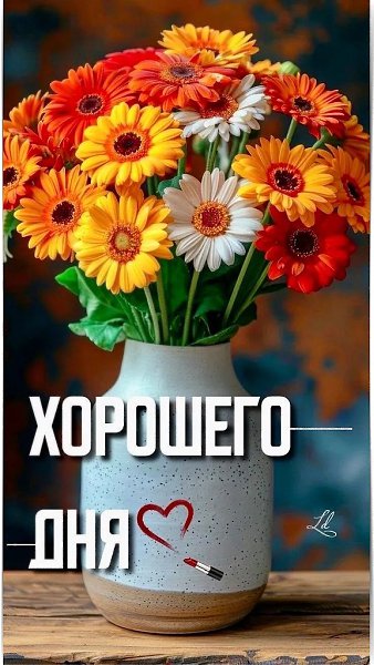 Доброе нам утро в сентябре! ***‘’***‘’***‘’***‘’***‘’***‘’***‘’***