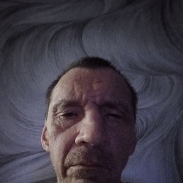 , 53, 