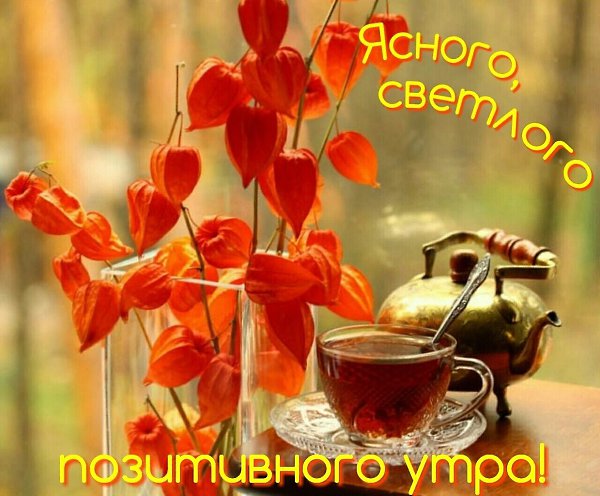   ,    . - 11  2025  21:30