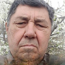 ����, ������, 72 ����