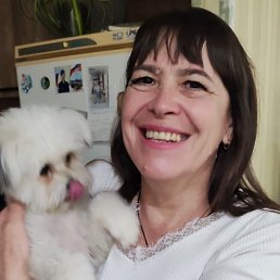 , 53, 