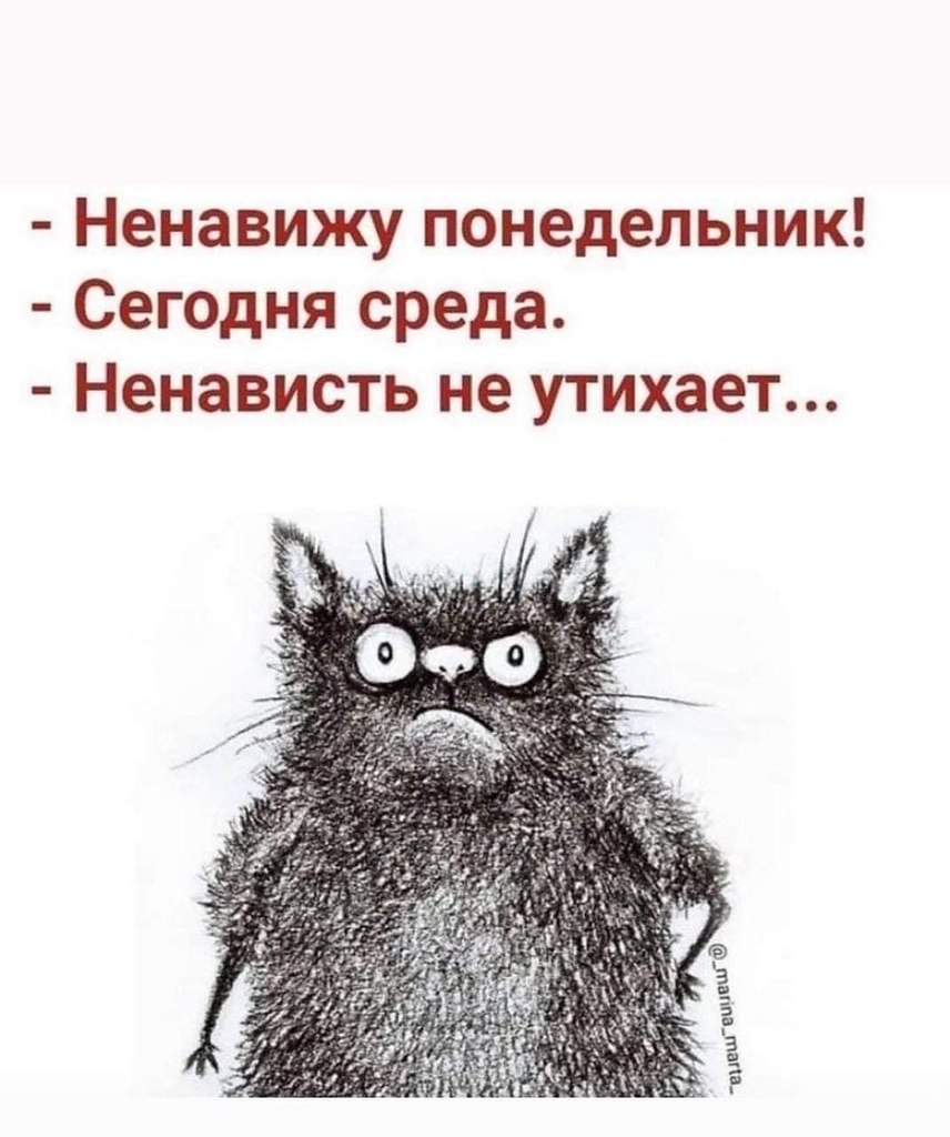 ��� ���� - 1 ���� 2026 � 17:39