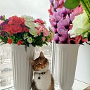  Zhanna***,   -  17  2025    