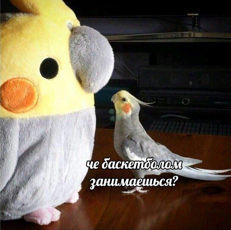    - 20  2023  21:21