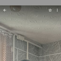, 53, 