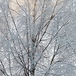 ���� �������, �����-���������, 45 ��� - ��������� 29 ������� 2025