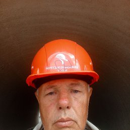 , 54 , 
