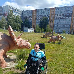 ����, ���������� �����, 28 ���