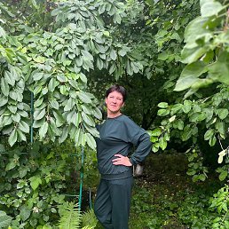 �������, ����������, 49 ���