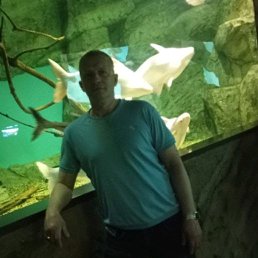  Vladimir, , 48  -  1  2025