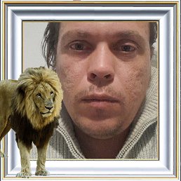 ��������, 36 ���, ������