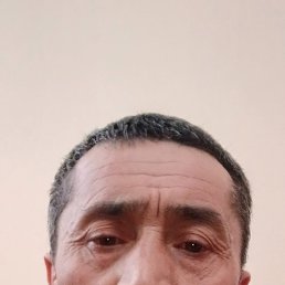 , 52, 