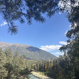 ���� ����, �����������, 48 ��� - ��������� 19 ������ 2025