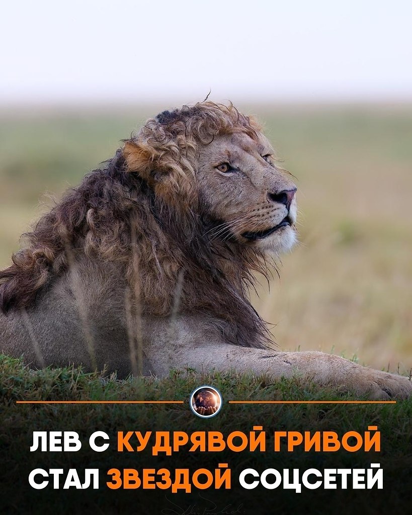 oopa ac a c pocoo po po,  c oeo apa c ao. ...