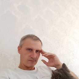 , 41, 