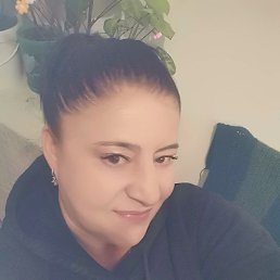 ���� �����, ����������, 43 ���� - ��������� 4 ����� 2026