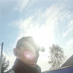 , 29, 