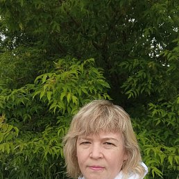 , 38 , 