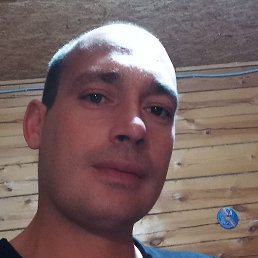 �����, ����, 40 ���