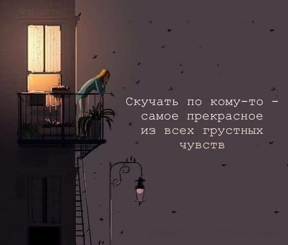    - 26  2025  10:41