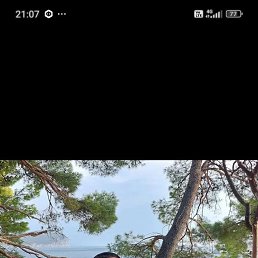 ���� ����, ������ ��������, 50 ��� - ��������� 29 ����� 2026