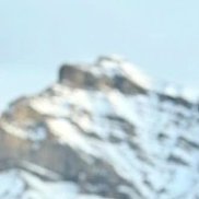 �����, 38 ���, ���