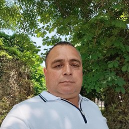, 49 , 