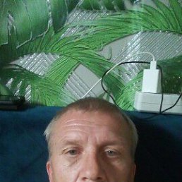 , 48, 