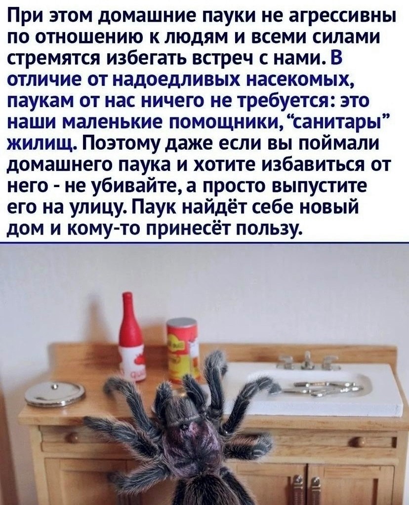    - 2