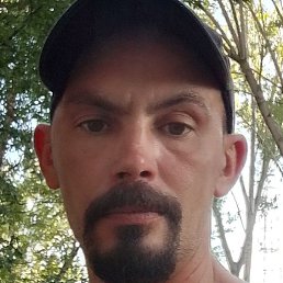 ���� �����, ������, 37 ���