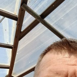 �������, ������, 50 ���