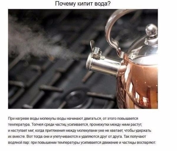 Ответы на детские вопросы, от которых «взрывается» мозг. - 10
