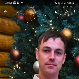 , 33, 