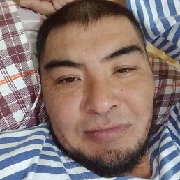 ����, ������, 44 ����