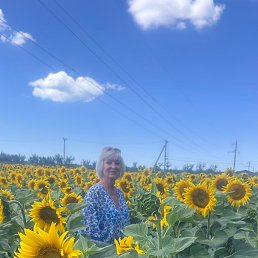 , 65, 
