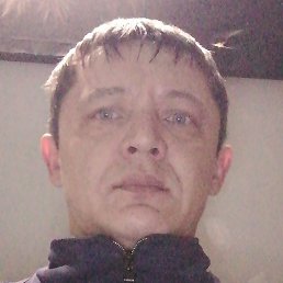 , , 41 