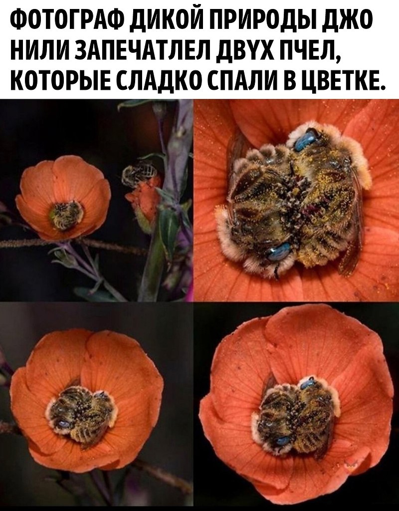    - 2