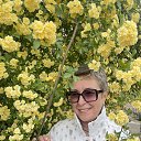 ���� �����, ����������, 62 ���� - ��������� 2 ��� 2025 � ������ ���� ����������