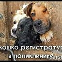 ���� ������� ����������, ������, 72 ���� - ��������� 30 ������ 2025 � ������ ���� ����������