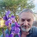 ���� ��������, ������, 68 ��� - ��������� 28 ����� 2025