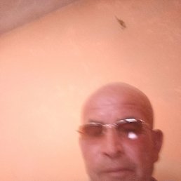 , 61, 