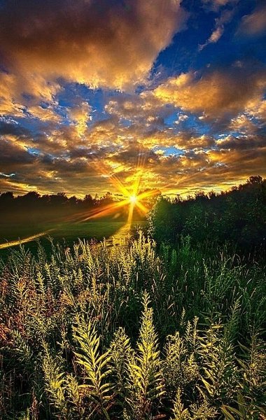 ����� � ����������� ���� � ������: 