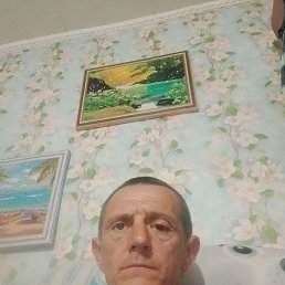 , 45, 