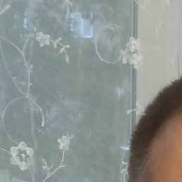 , , 53 