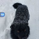 ���� �����, �����-���������, 35 ��� - ��������� 13 ������ 2023 � ������ ���� ����������