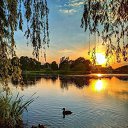 ���� ������, ������, 49 ��� - ��������� 21 ���� 2025 � ������ ������ ��������