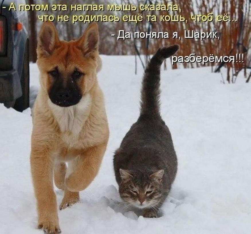 ? ,  ! - 23  2025  20:39